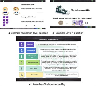 A pilot study of the effectiveness of the Maths For Life programme for children with Down syndrome